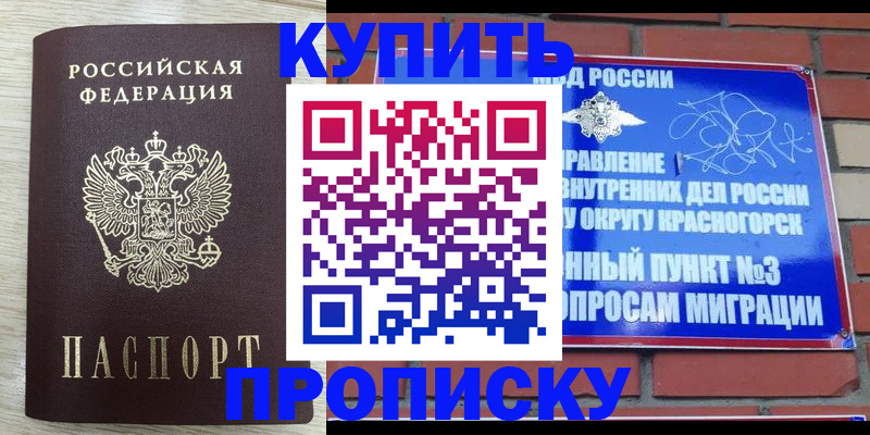 прописка гарантия в Наволоках